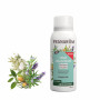 Zuiverende spray Ravintsara - Tea tree - 75 ml | Inula