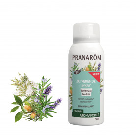 Zuiverende spray Ravintsara - Tea tree - Bio - 75 ml | Inula