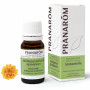 Italiaanse strobloem - 10 ml | Inula