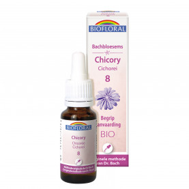 08 - Chicory - Cichorei - Bio - 20 ml | Inula