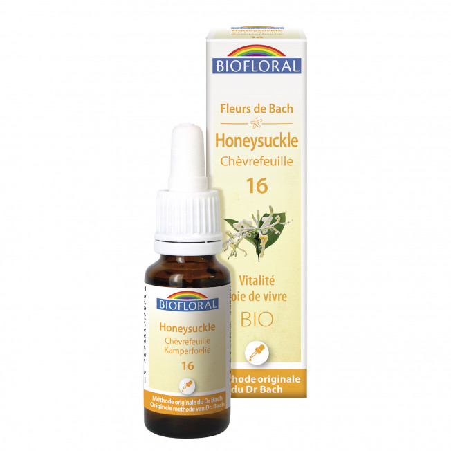 16 - Honeysuckle - Chèvrefeuille - 20 ml | Inula