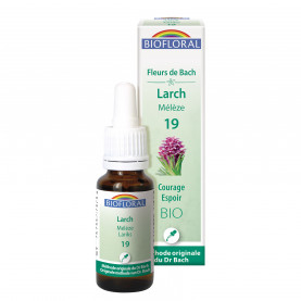 19 - Larch - Lariks - 20 ml | Inula