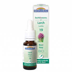 19 Larch Lariks Bio - 20 ml | Inula