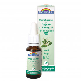 30 - Sweet chestnut - Tamme kastanje - Bio - 20 ml | Inula
