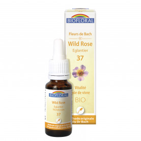 37 - Wild rose - Eglantier - 20 ml | Inula