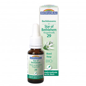Fleur de Bach n°29 Star of Bethlehem, Étoile de Bethléem - 20 ml | Inula