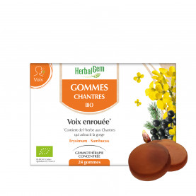 GOMMES CHANTRES - 24 gommes | Inula