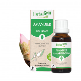 Bourgeon d'Amandier - 30 ml | Inula