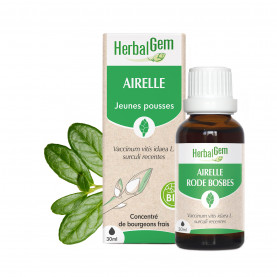 Bourgeon d'Airelle - 30 ml | Inula