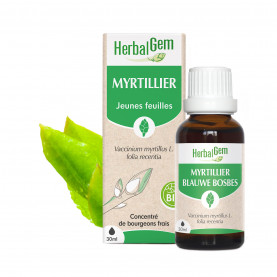 Bourgeon de myrtillier - 30 ml | Inula