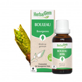 Bourgeon de Bouleau - 30 ml | Inula