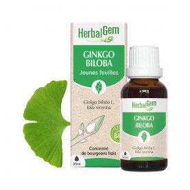Ginkgo Biloba Knop - 30 ml | Inula