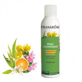 Spray assainissant Orange douce - Ravintsara | Inula