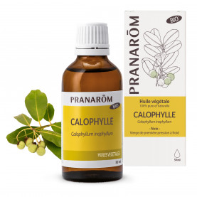 Calophylle - 50 ml | Inula