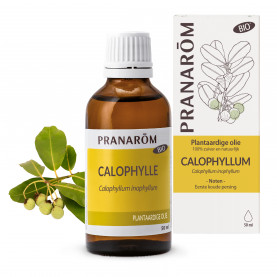 Calophyllum - Bio - 50 ml | Inula
