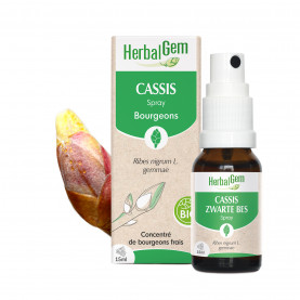CASSIS - Spray - 15 ml | Inula