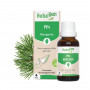 MOUNTAIN PINE - 30 ml | Inula