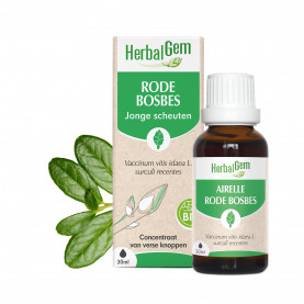 RODE BOSBES - Bio - 30 ml | Inula