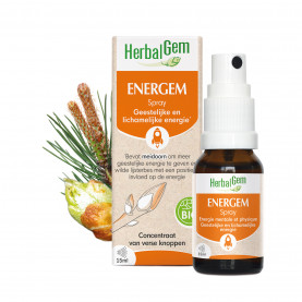 ENERGEM  - Spray - 15 ml | Inula