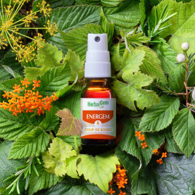 EnerGem-boosts - 15 ml spray | Inula