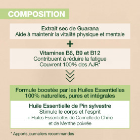 Complément alimentaire Energy - 60 capsules | Inula