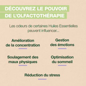 AROMABOOST ROLL-ON RELAX | Inula