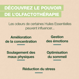 AROMABOOST ROLL-ON IMMUNITY | Inula