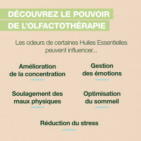 Roll-on Diet - 5 ml roller | Inula